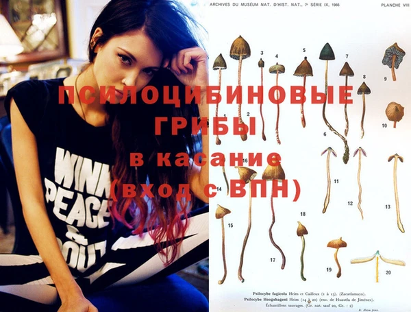 ешки Абаза