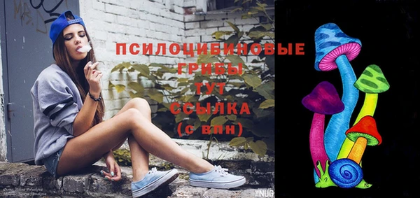 ешки Абаза