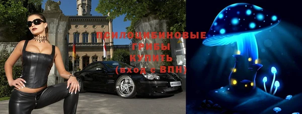 ГАЛЛЮЦИНОГЕННЫЕ ГРИБЫ Абинск