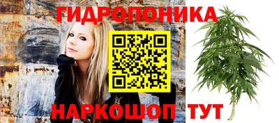 прущие грибы Пушкино