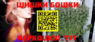 прущие грибы Пушкино