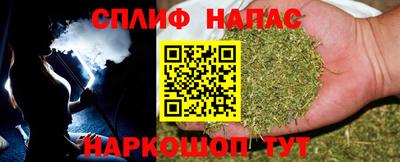 прущие грибы Пушкино