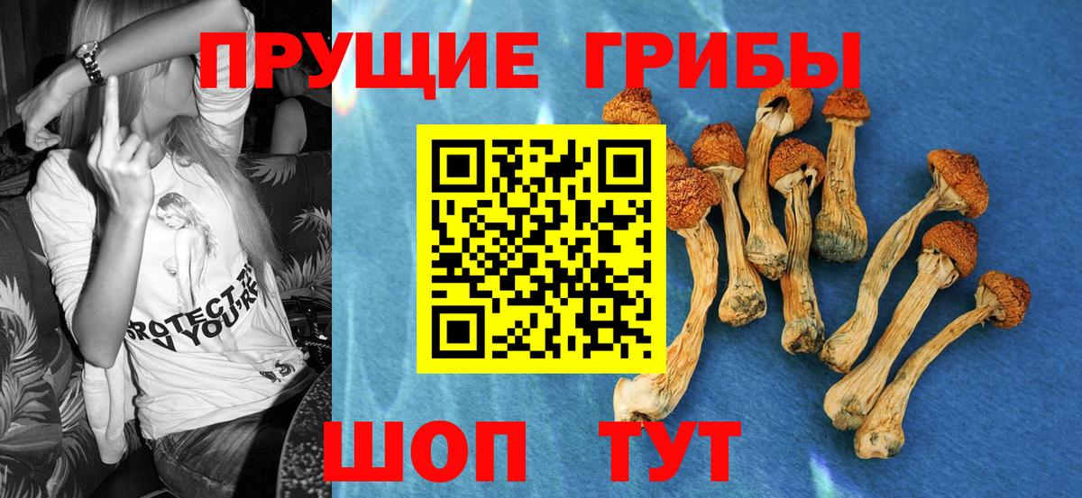 Псилоцибиновые грибы GOLDEN TEACHER  Вход с VPN  Электросталь 