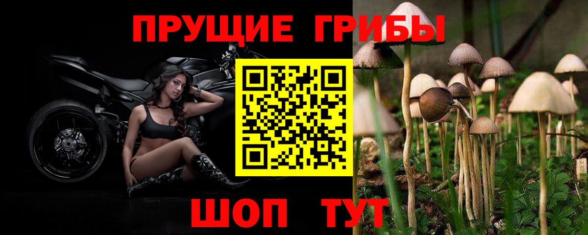 Галлюциногенные грибы мицелий Электросталь